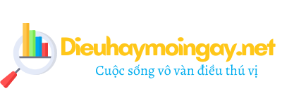 logo-dieuhaymoingay