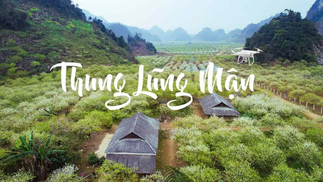 Thung lũng mận Nà Ka 