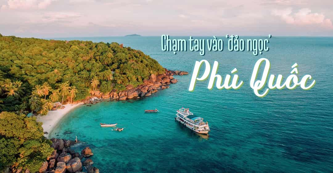 Vườn tiêu Phú Quốc