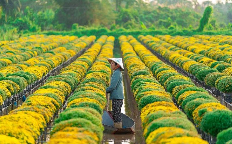 Khám phá thiên nhiên, sông nước hữu tình