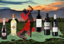 Rượu Vang Argentina: Hương Vị Malbec Thượng Hạng & Bảng Giá 2026 Rượu vang Argentina